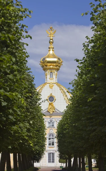 Rusland, petrodvorets-peterhof paleis — Stockfoto