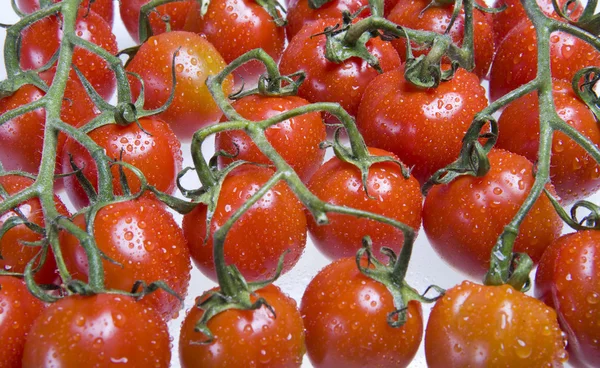 Röda tomater i droppar vatten — Stockfoto