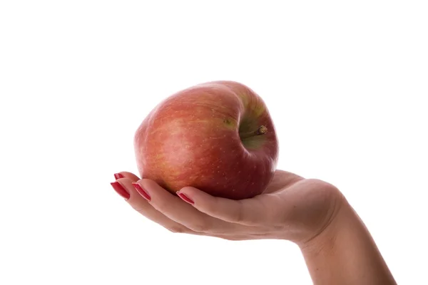 stock image Healthy food