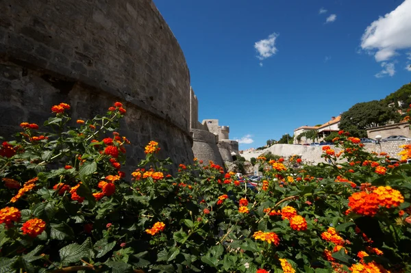 Dubrovnik'in en güzel şehirlerden