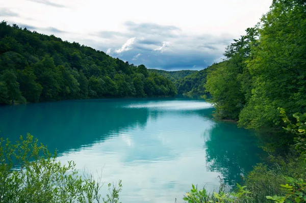 stock image A lake in the forest