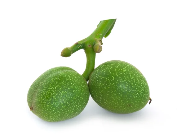 Green walnut — Stock Photo, Image