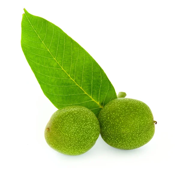 stock image Green walnut