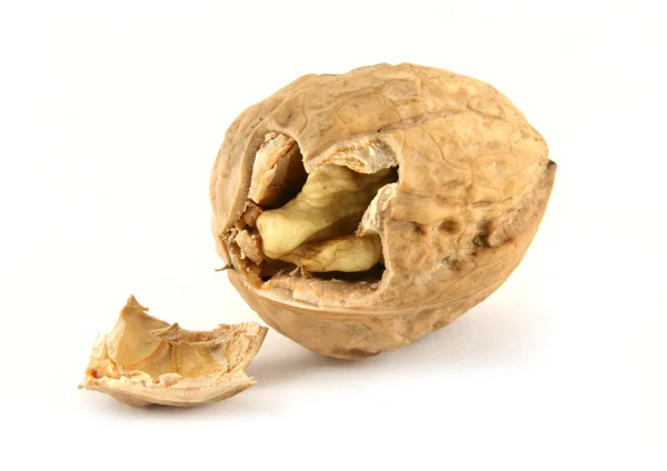 Wallnut — 스톡 사진