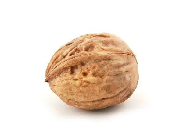 Wallnut — 图库照片