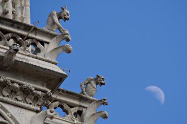 Paris Gargoyles in Notre Dame Paris clipart