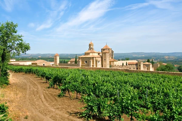 Monasterio y viñedos — Foto de Stock