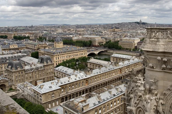 Вид из Парижа на Нотр-Дам — стоковое фото