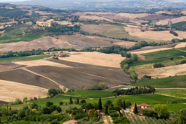 Bela paisagem de verão na Toscana — Fotografia de Stock