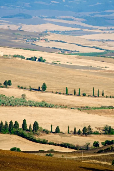 Wunderschöne toskanische Landschaft im Sommer — Stockfoto