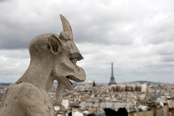 Горгульї Paris Notre Dame Парижа — стокове фото