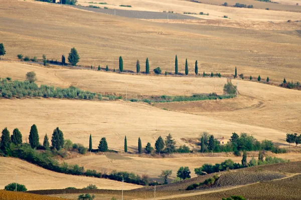 Hermoso paisaje de Toscana en verano —  Fotos de Stock