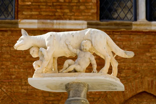 Lobo de Siena — Foto de Stock