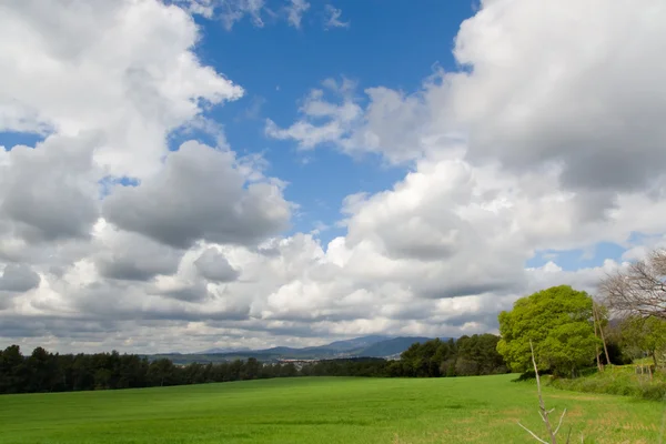 Campos verdes y cielo azul con nubes —  Fotos de Stock