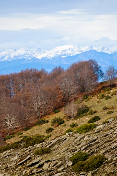 A Pireneusok megtekintése — Stock Fotó