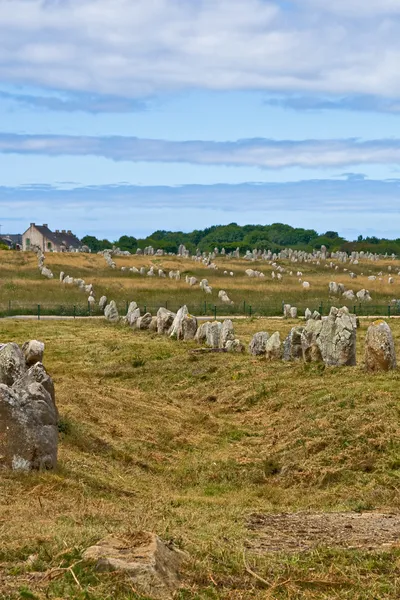 Menhirs alignment in Carnac — Stock Photo, Image