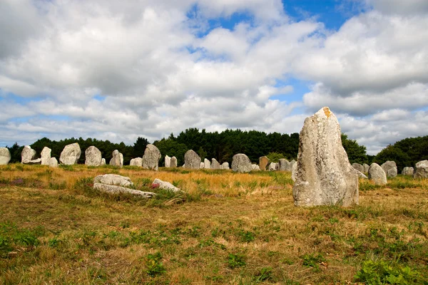 Zarovnání megalitické menhirů v Carnacu — Stock fotografie