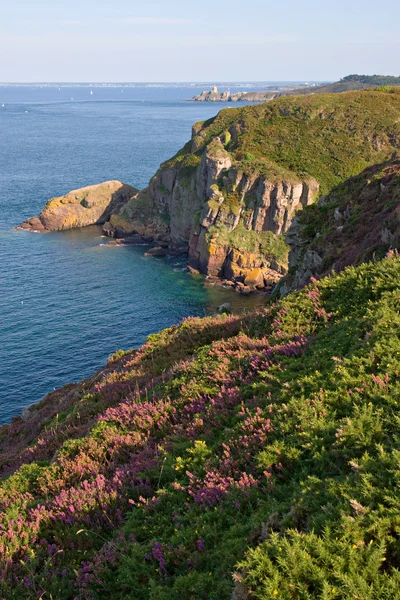 Widokiem na klify wybrzeża Bretanii — Zdjęcie stockowe