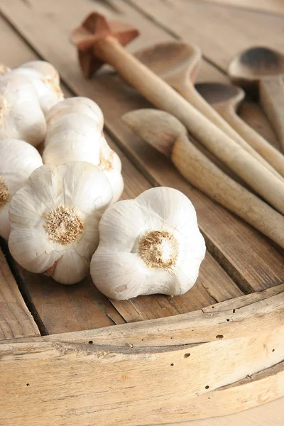 stock image Garlic