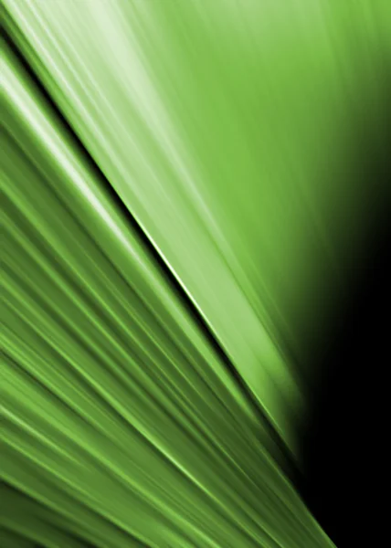 Зелений абстрактних мотивів — стокове фото