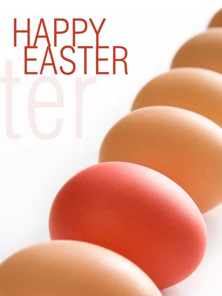 Easter greetings — Stock Photo, Image