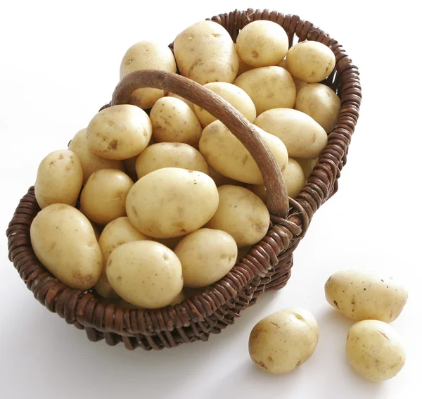 Viel Kartoffeln — Stockfoto