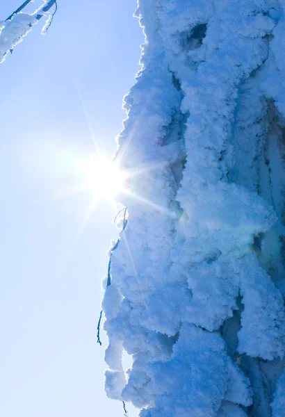 Sun in the winter — Stock Photo, Image