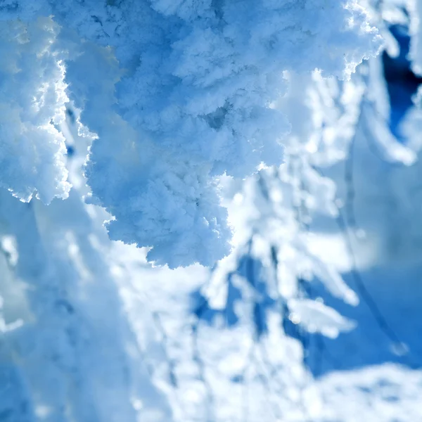 Снігу і льоду — стокове фото