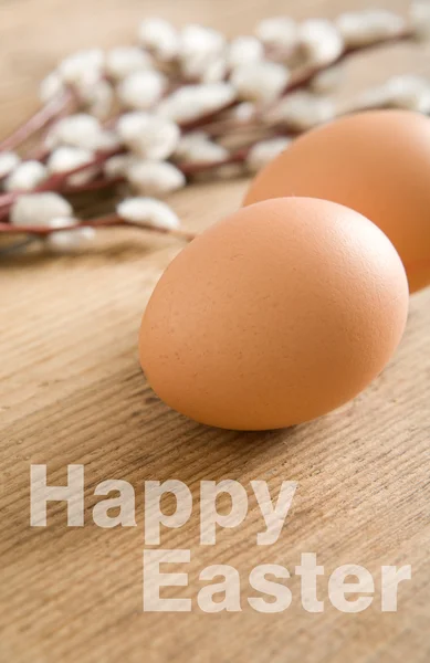 Easter greetings — Stock Photo, Image