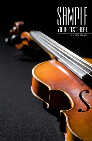 Close-up on violin. Space for text isola — Stock Photo, Image