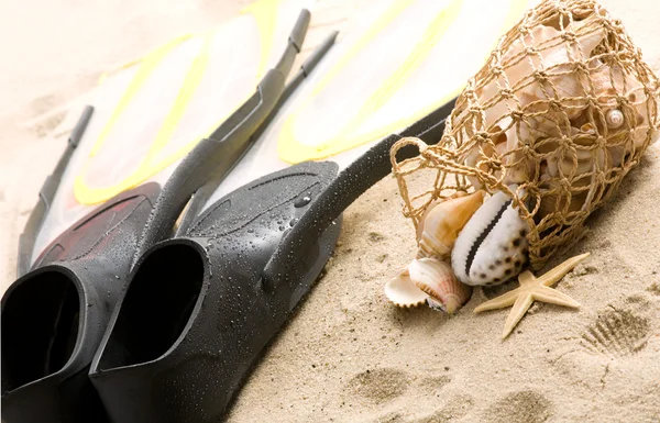 Shells and flippers — Stock Photo, Image