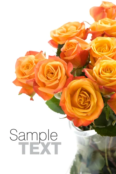 Trandafiri portocalii — Fotografie, imagine de stoc