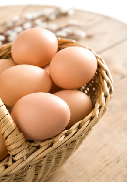 Färska ägg i korgen — Stockfoto