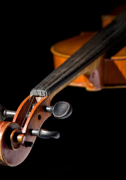 Скрипка на черном фоне — стоковое фото