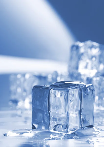 Cubos de gelo em luz ambiente azul — Fotografia de Stock