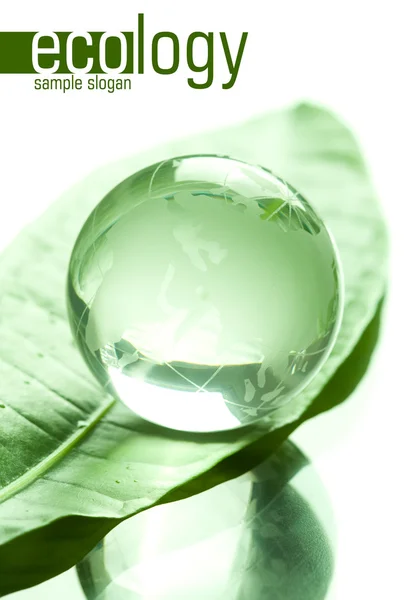 Глобус из стекла на зеленом листе — стоковое фото