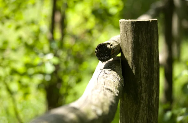 stock image Wooden fence