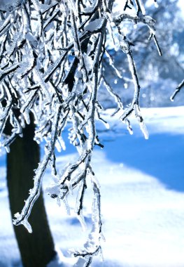 Frozen branch clipart