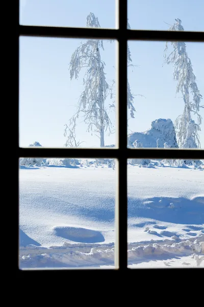 Visa genom spröjsade fönster — Stockfoto