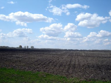 tarım arazisi