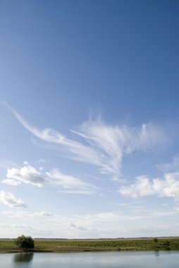 Sky and tree and horizon clipart