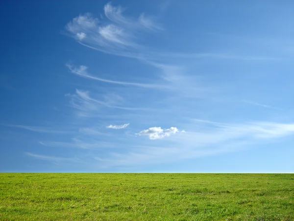 Céu azul e grama verde — Fotografia de Stock