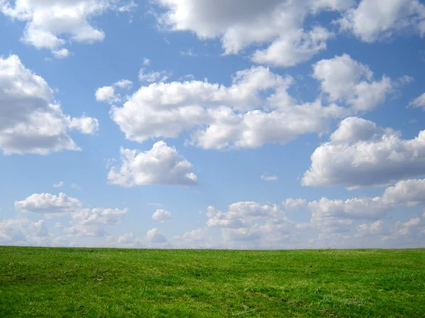 푸른 풀 과푸른 하늘 — 스톡 사진