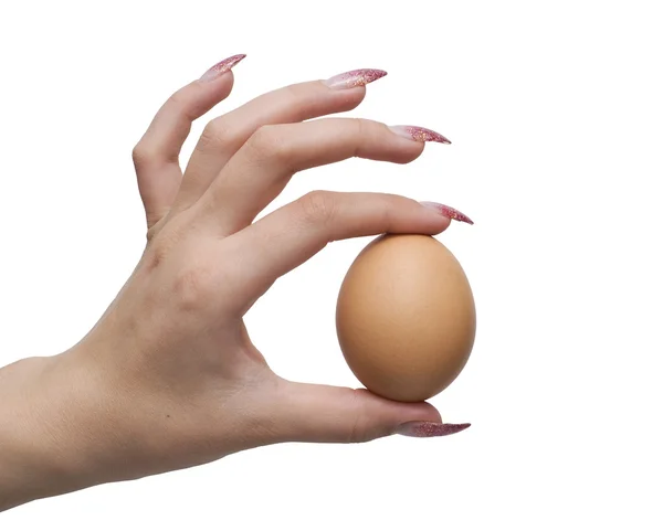 Huevo y la mano —  Fotos de Stock