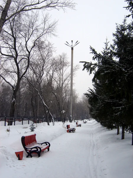 ¿Winter park? — Foto de Stock