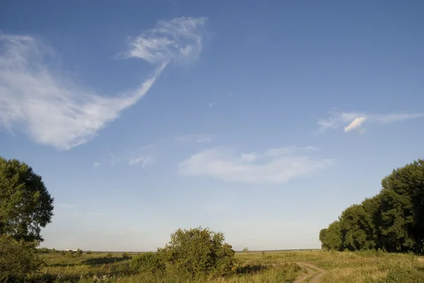 Fält och himmel — Stockfoto