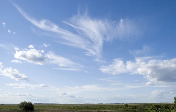 하늘과 지평선 — 스톡 사진