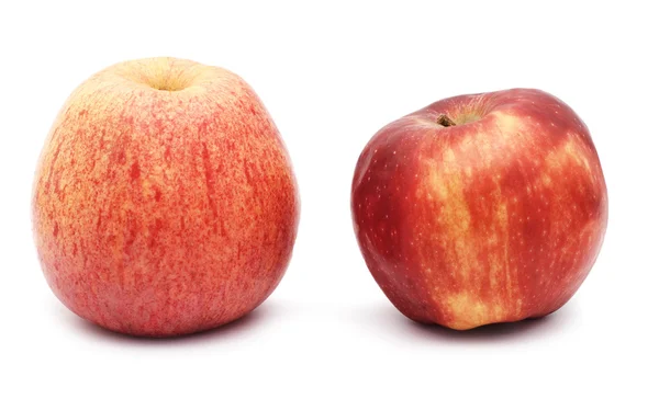 Äpfel über weiße — Stockfoto