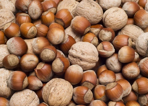 Hazelnuts and walnuts — Stock Photo, Image