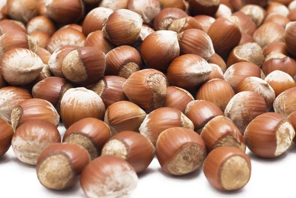 Hazelnuts over white — Stock Photo, Image